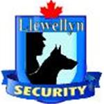 Llewellyn Security