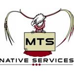 MTS Native Services