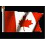 National Credit and Collections Services