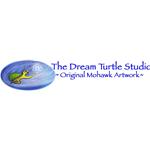 Dream Turtle Studio