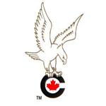 C-RISK (Canadian Risk Investment Securitisation Key)