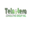 Telnetera Consulting Group Inc.