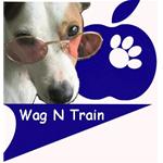 Wag n Train Inc