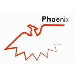 Phoenix Packaging International Corp.