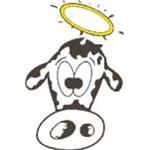 The Holy Cow Canoe Company