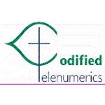 Codified Telenumerics Inc