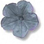Slate Blue Design