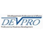 Devpro Professional Business Development