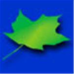 Top-Notch Bilingual Services