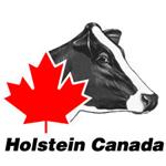 Holstein Canada