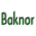 Baknor Electronics Industries Inc.