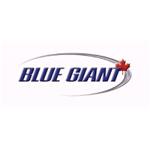 Blue Giant Equipment Corporation