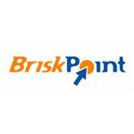 BriskPoint Inc.